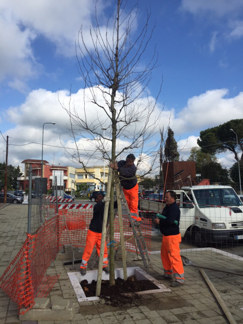 LAVORI VIALE NINO DI PALMA