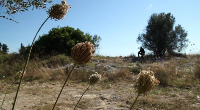 Comunicato n.20-2014 - A Città del Libro il documentario -Terra di Mez...