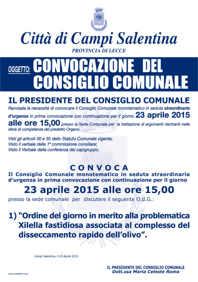CONVOCAZIONE CONSIGLIO COMUNALE DEL 23 APRILE 2015