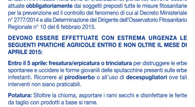 INTERVENTI URGENTI INFEZIONE 